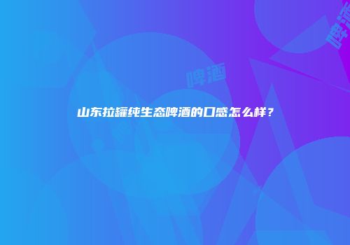 山东拉罐纯生态啤酒的口感怎么样？