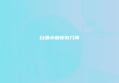 白酒小钢炮有几两