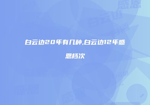 白云边20年有几种,白云边12年感恩档次