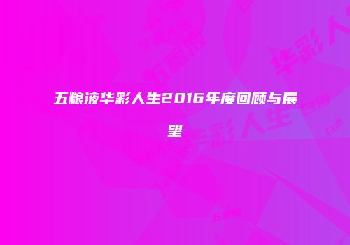五粮液华彩人生2016年度回顾与展望