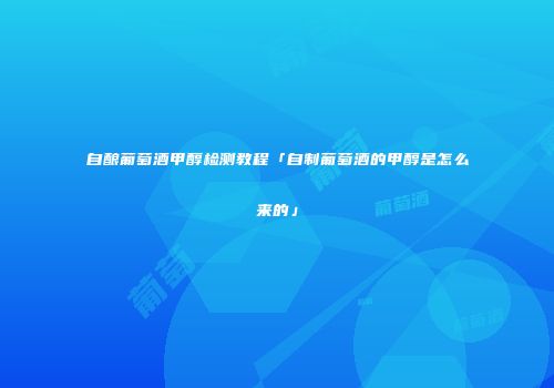 自酿葡萄酒甲醇检测教程「自制葡萄酒的甲醇是怎么来的」