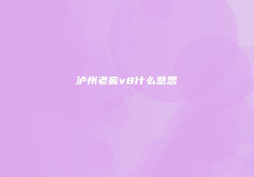 泸州老窖v8什么意思