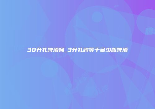 30升扎啤酒桶_3升扎啤等于多少瓶啤酒