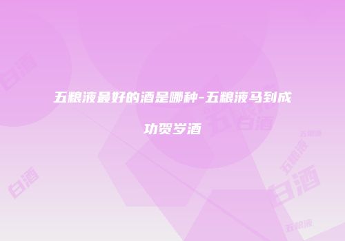五粮液最好的酒是哪种-五粮液马到成功贺岁酒