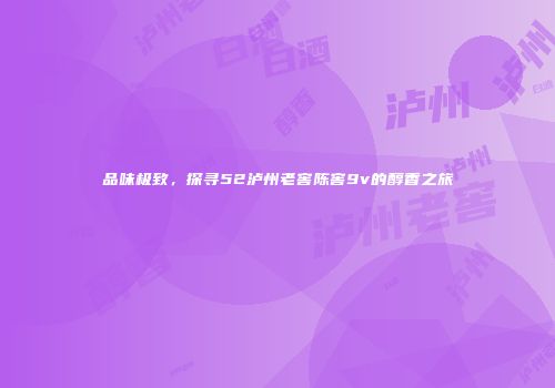 品味极致，探寻52泸州老窖陈窖9v的醇香之旅