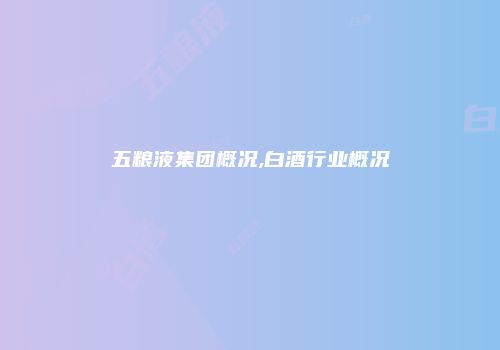 五粮液集团概况,白酒行业概况