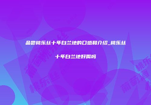 品尝桃乐丝十年白兰地的口感和介绍_桃乐丝十年白兰地好喝吗