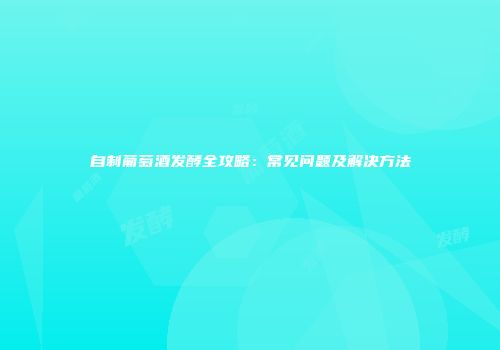 自制葡萄酒发酵全攻略：常见问题及解决方法