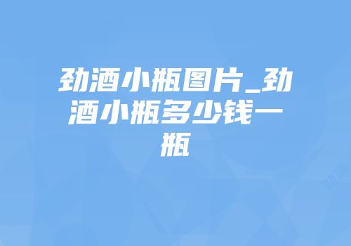 劲酒小瓶图片_劲酒小瓶多少钱一瓶