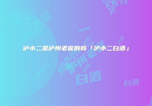 泸小二是泸州老窖的吗「泸小二白酒」