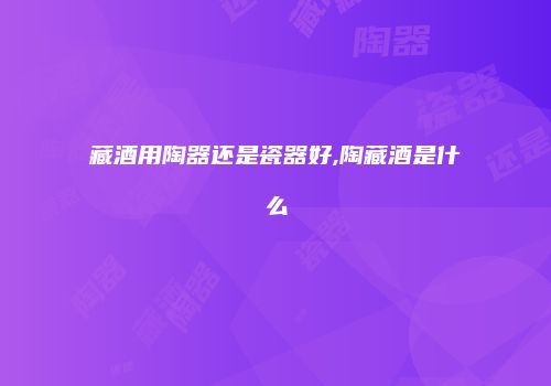 藏酒用陶器还是瓷器好,陶藏酒是什么