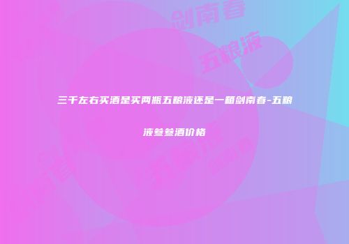 三千左右买酒是买两瓶五粮液还是一箱剑南春-五粮液叁叁酒价格