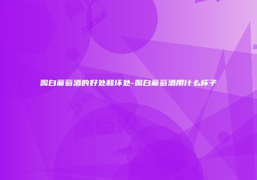 喝白葡萄酒的好处和坏处-喝白葡萄酒用什么杯子
