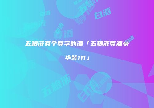 五粮液有个尊字的酒「五粮液尊酒豪华装111」