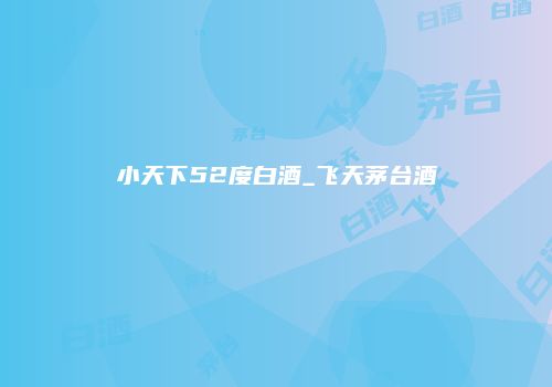 小天下52度白酒_飞天茅台酒