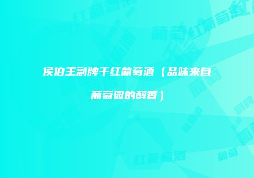 侯伯王副牌干红葡萄酒（品味来自葡萄园的醇香）