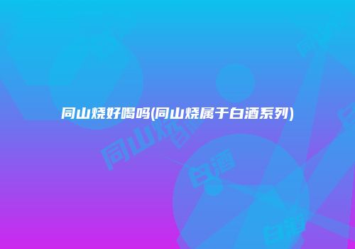 同山烧好喝吗(同山烧属于白酒系列)