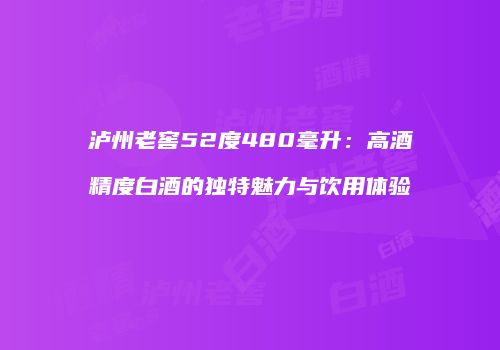泸州老窖52度480毫升：高酒精度白酒的独特魅力与饮用体验