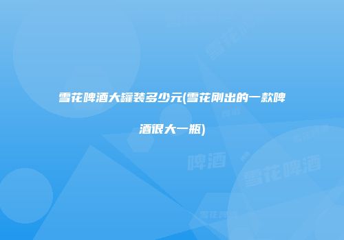雪花啤酒大罐装多少元(雪花刚出的一款啤酒很大一瓶)