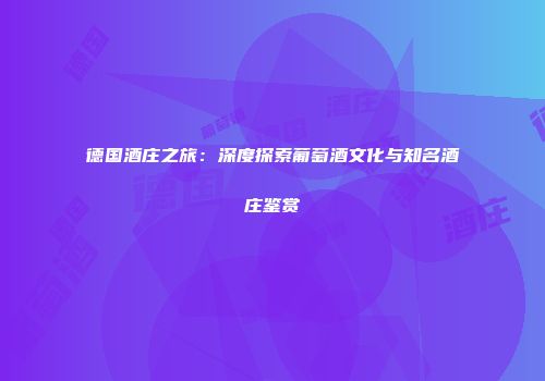 德国酒庄之旅：深度探索葡萄酒文化与知名酒庄鉴赏