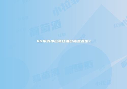09年的小拉菲红酒价格是多少？