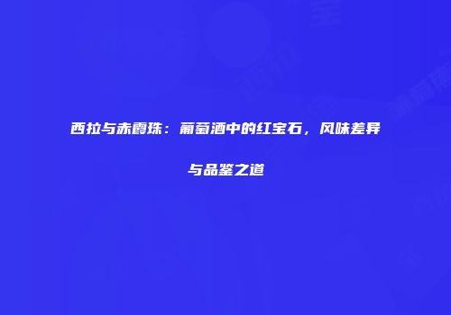 西拉与赤霞珠：葡萄酒中的红宝石，风味差异与品鉴之道