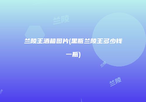 兰陵王酒箱图片(黑瓶兰陵王多少钱一瓶)