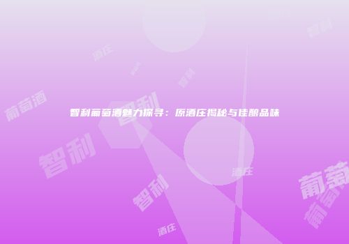 智利葡萄酒魅力探寻：原酒庄揭秘与佳酿品味
