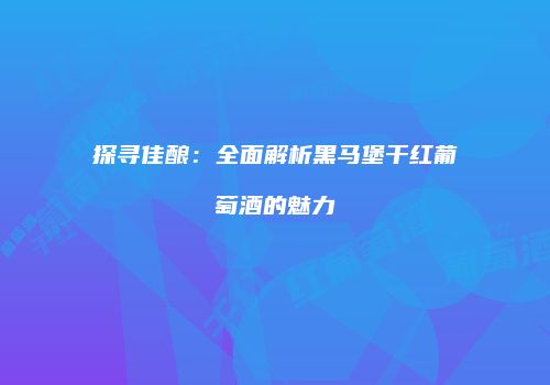 探寻佳酿：全面解析黑马堡干红葡萄酒的魅力