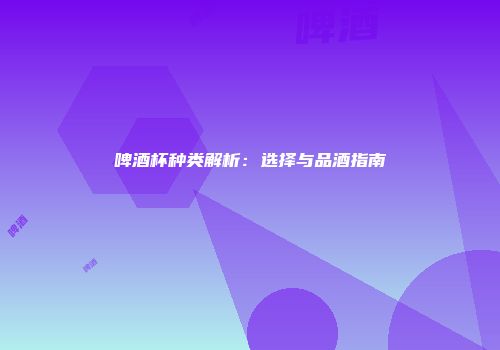 啤酒杯种类解析：选择与品酒指南