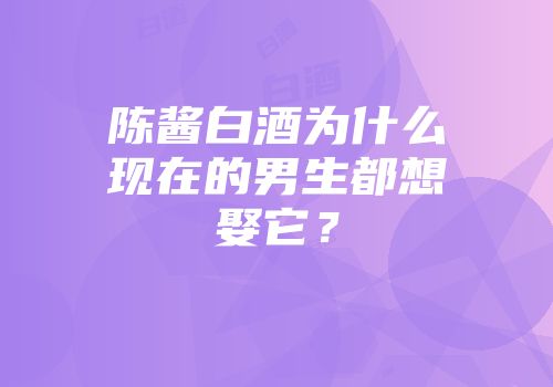 陈酱白酒为什么现在的男生都想娶它？