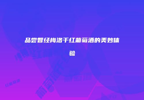 品尝智经梅洛干红葡萄酒的美妙体验