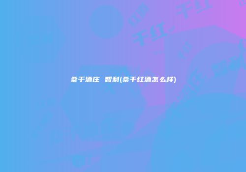 桑干酒庄 智利(桑干红酒怎么样)