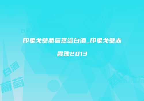 印象戈壁葡萄蒸馏白酒_印象戈壁赤霞珠2013