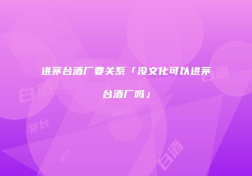 进茅台酒厂要关系「没文化可以进茅台酒厂吗」