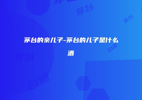 茅台的亲儿子-茅台的儿子是什么酒