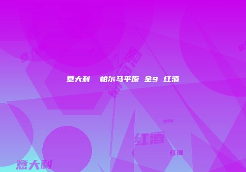 意大利  帕尔马平原 金9 红酒