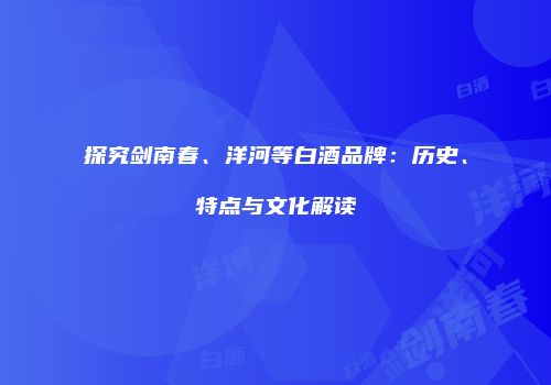 探究剑南春、洋河等白酒品牌：历史、特点与文化解读