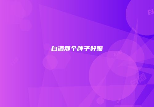 白酒那个牌子好喝