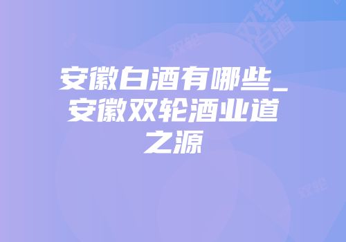 安徽白酒有哪些_安徽双轮酒业道之源