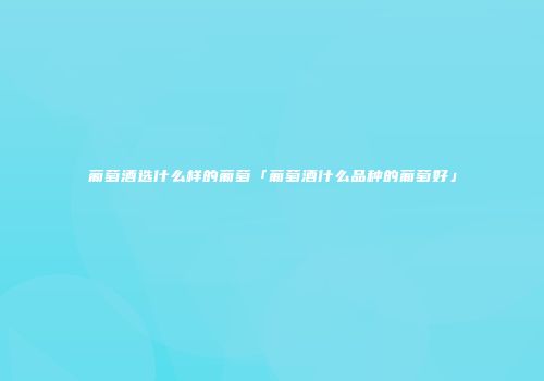 葡萄酒选什么样的葡萄「葡萄酒什么品种的葡萄好」