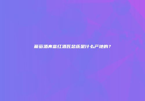 葡萄酒奔富红酒瓦总统是什么产地的？