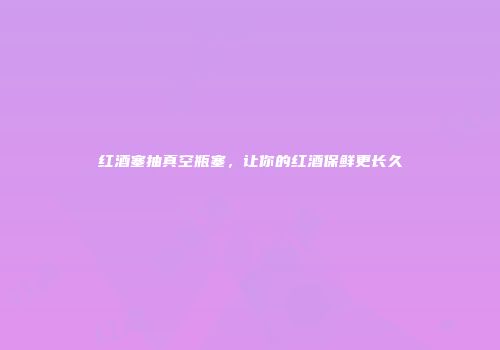 红酒塞抽真空瓶塞，让你的红酒保鲜更长久