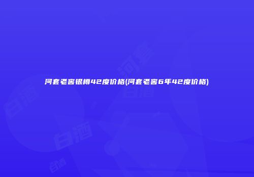 河套老窖银樽42度价格(河套老窖6年42度价格)