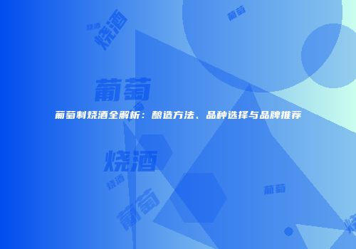 葡萄制烧酒全解析：酿造方法、品种选择与品牌推荐