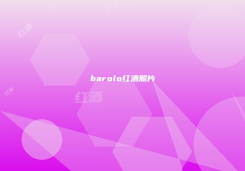 barolo红酒照片