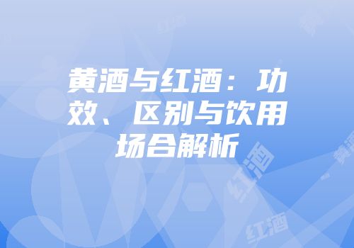 黄酒与红酒：功效、区别与饮用场合解析