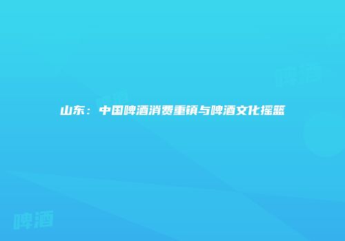 山东：中国啤酒消费重镇与啤酒文化摇篮
