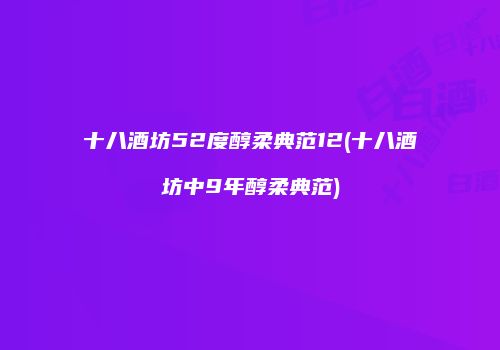 十八酒坊52度醇柔典范12(十八酒坊中9年醇柔典范)