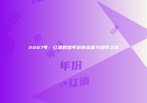2007年：红酒辉煌年份的品鉴与知识之旅